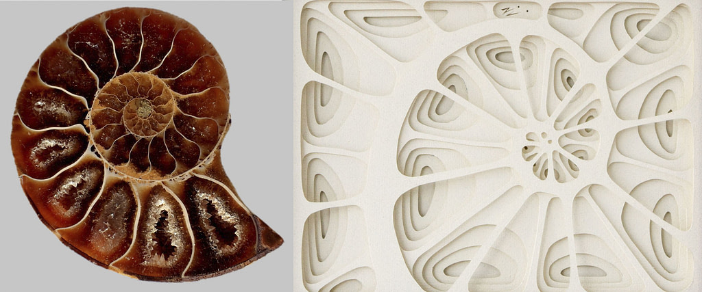 comparativa de proceso creativo entre un caracol y cuadro de papel fibonacci