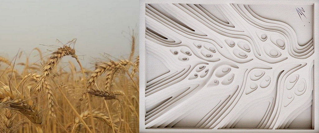 comparativa de proceso creativo entre un campo de espigas de trigo y cuadro en papel "brizna"