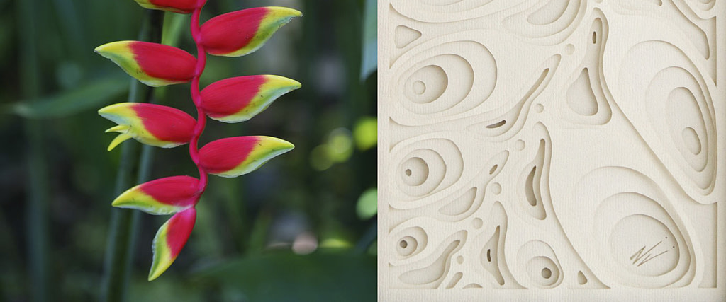 comparativa de proceso creativo entre una flor de heliconea y obra en papel "Péndola"