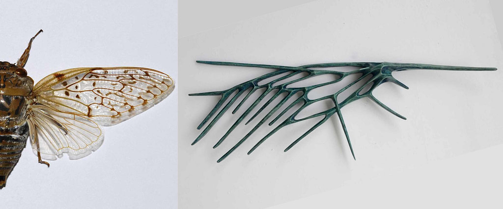 comparativa de proceso creativo entre una cigarra o chichara y la escultura de la serie alas "chicharra"