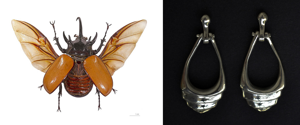 comparativa de proceso creativo entre un escarabajo y aretes de plata 9.25 "coco"