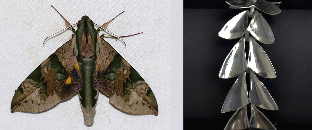 comparativa de proceso creativo entre una polilla posada en la pared y la pulsera de plata 9.25 "polilla"